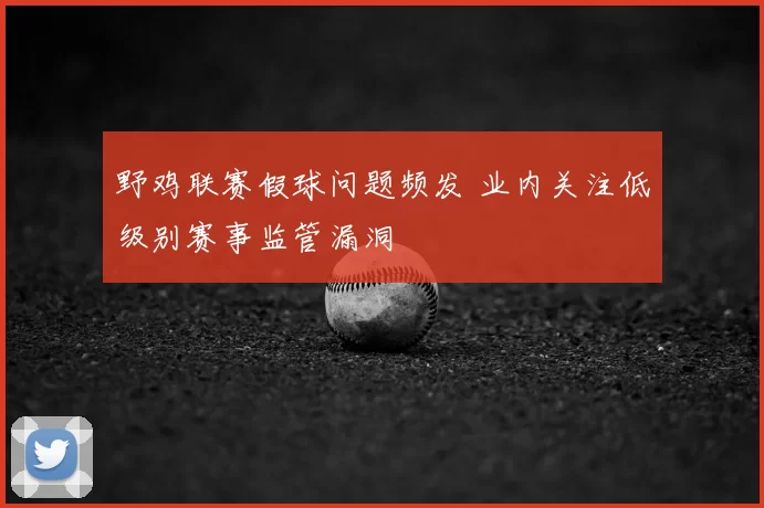 野鸡联赛假球问题频发 业内关注低级别赛事监管漏洞