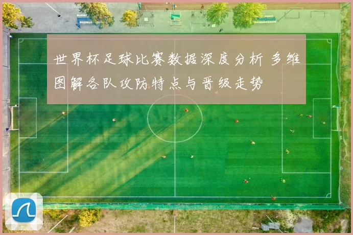 世界杯足球比赛数据深度分析 多维图解各队攻防特点与晋级走势