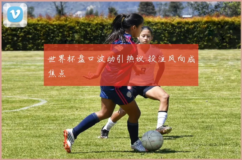 世界杯盘口波动引热议 投注风向成焦点