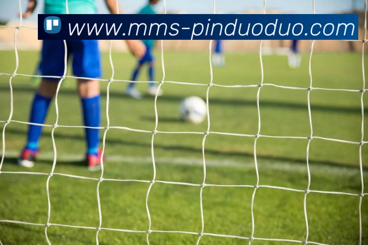 mksports官网登录发展历程