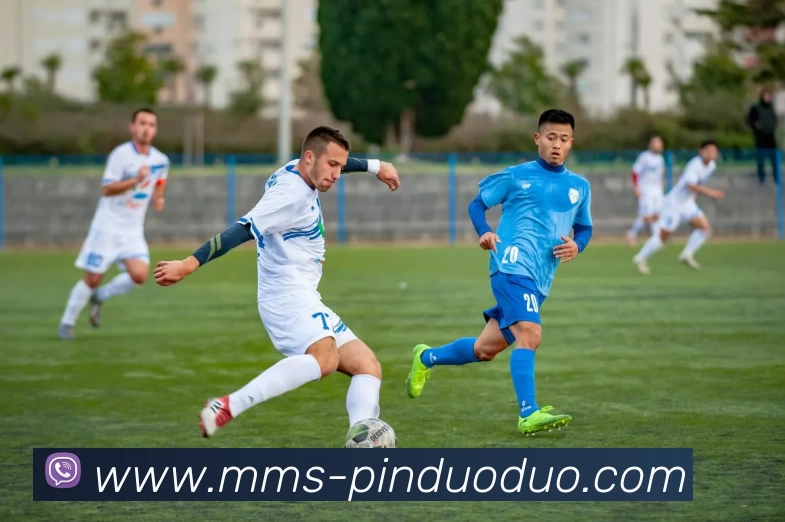 MK体育·(china)官方网站 - MK SPORTSAPP 封面图